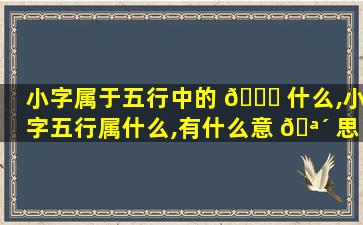 小字属于五行中的 🐒 什么,小字五行属什么,有什么意 🪴 思